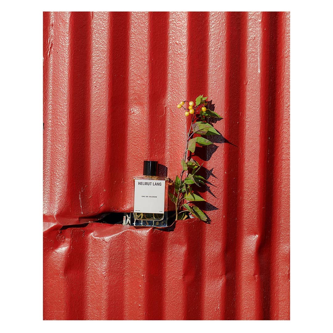 Perfume bottle of Helmut Lang Eau de Cologne on a red corrugated metal surface with a green leafy branch and yellow berries.