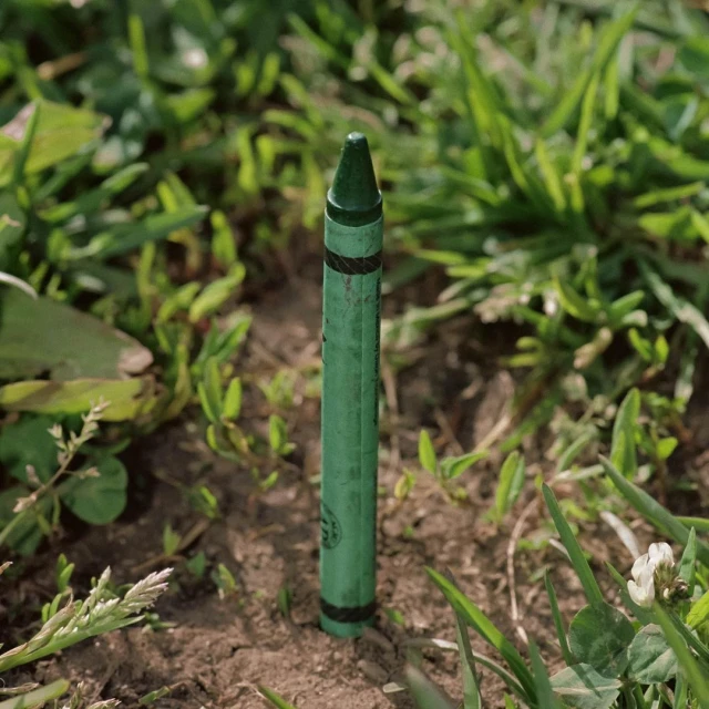 Close-up of a single, green crayon stuck in the dirt with green grass surrounding it. A creative shot in an outdoor setting.