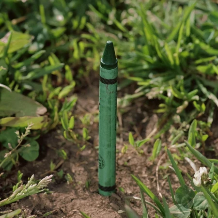 Close-up of a single, green crayon stuck in the dirt with green grass surrounding it. A creative shot in an outdoor setting.