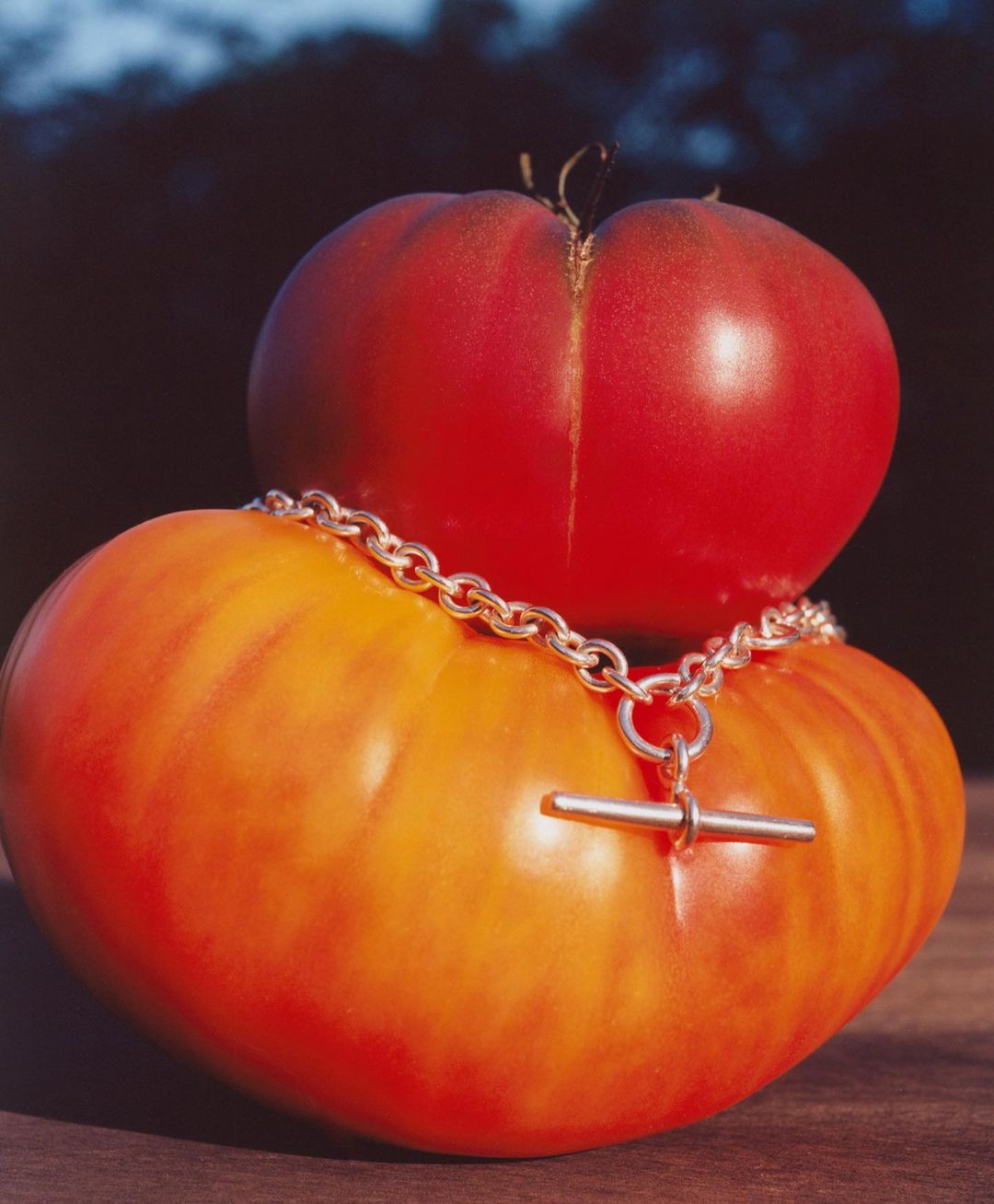 Still life close-up: two heirloom tomatoes, red and orange, stacked and adorned with a silver chain necklace on a wooden surface.