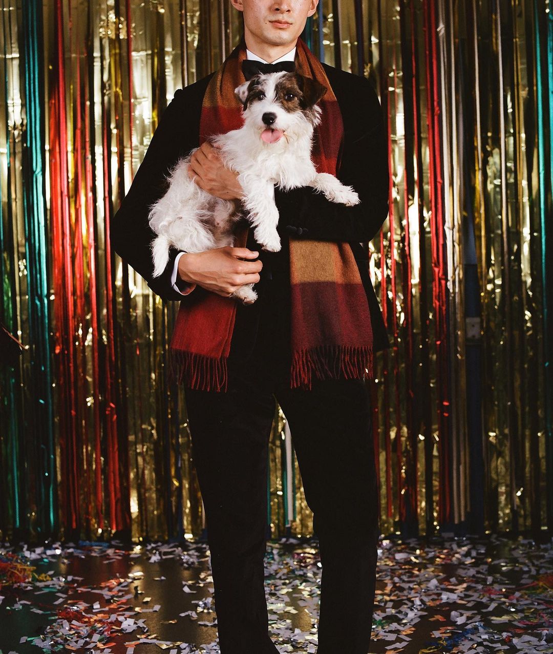 Man in a black suit holding a Jack Russell Terrier with party streamers and confetti in the background in a medium studio shot.