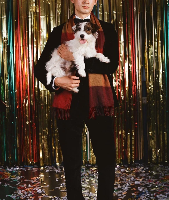 Man in a black suit holding a Jack Russell Terrier with party streamers and confetti in the background in a medium studio shot.