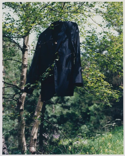 A dark blue suit jacket hanging from a tree branch with green leaves in an outdoor, natural forest environment on a sunny day.