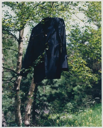 A dark blue suit jacket hanging from a tree branch with green leaves in an outdoor, natural forest environment on a sunny day.