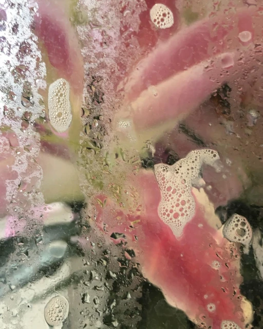 Abstract view of pink floral through a wet surface with water droplets and bubbles, creating a textured and blurred effect.