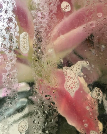 Abstract view of pink floral through a wet surface with water droplets and bubbles, creating a textured and blurred effect.