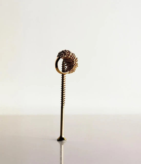 Close-up studio shot of a gold metal ring with textured design atop a gold-colored screw standing upright on a reflective surface.