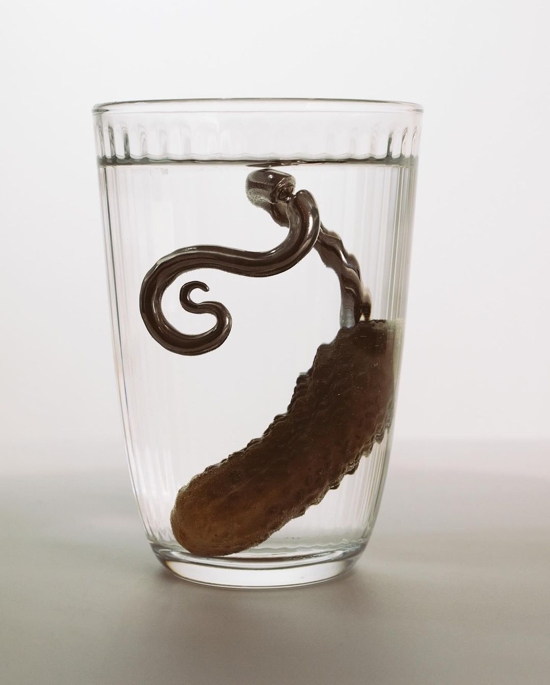 Pickle submerged in a clear glass of water, accompanied by an ornate silver pickle fork, set against a plain white backdrop.