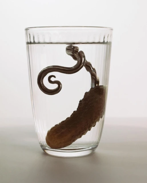 Pickle submerged in a clear glass of water, accompanied by an ornate silver pickle fork, set against a plain white backdrop.