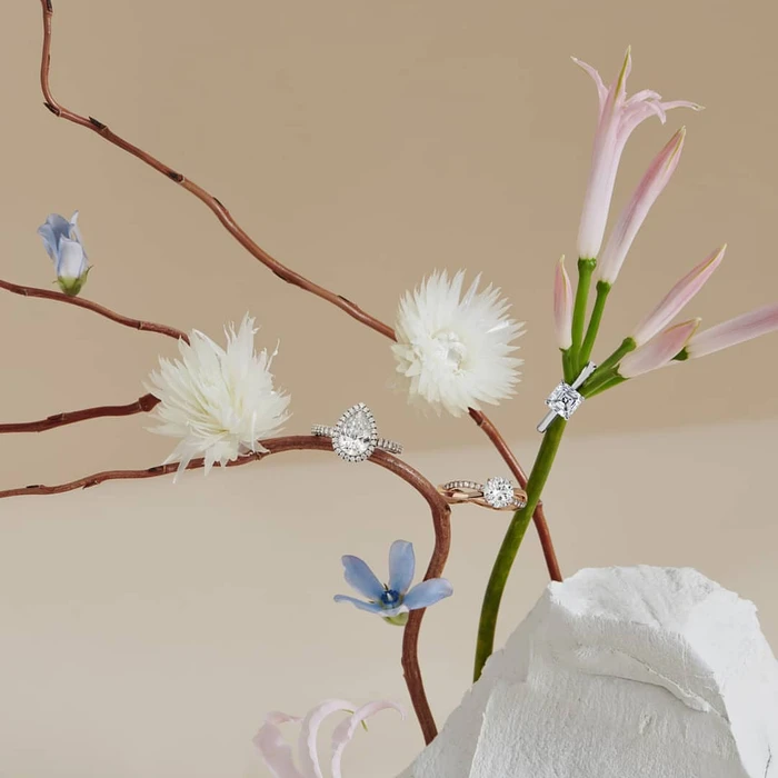 Close-up product photography of diamond rings resting on delicate tree branches adorned with white and pink flowers against a beige backdrop.
