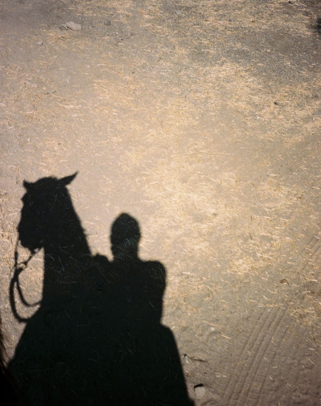 Shadow of a person riding a horse, casting a long, dark silhouette on a light-colored ground surface, creating a contrasting scene.