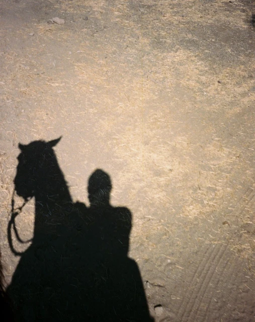 Shadow of a person riding a horse, casting a long, dark silhouette on a light-colored ground surface, creating a contrasting scene.