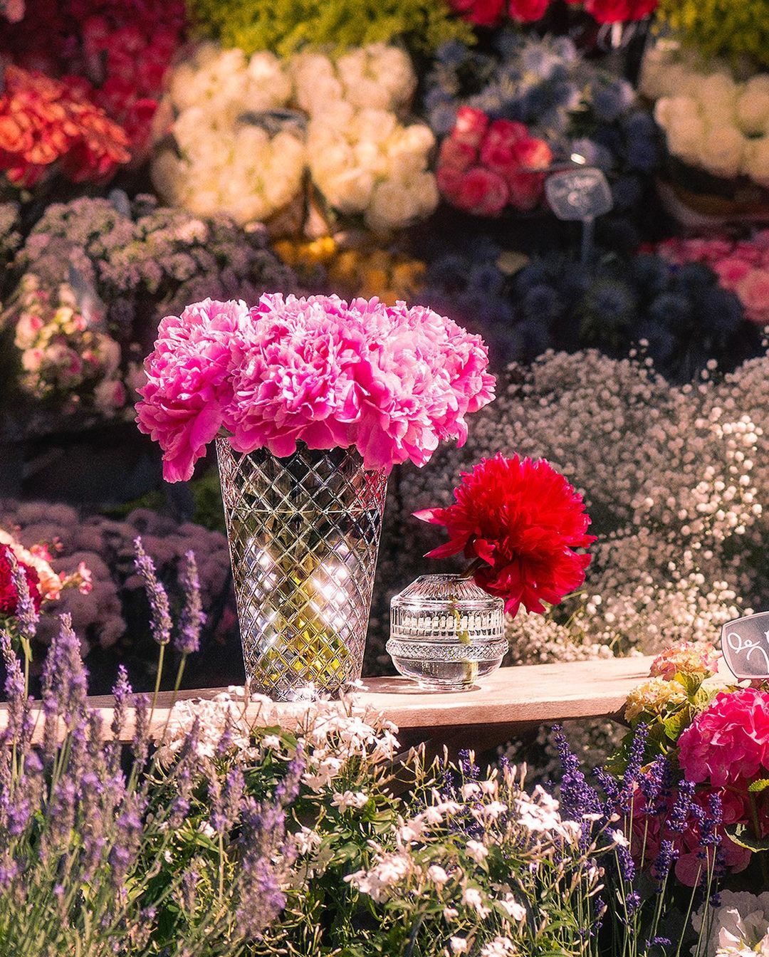 Floral still life featuring pink peonies in a crystal vase alongside red flowers in a small round vase, set among lush greenery and blooms.