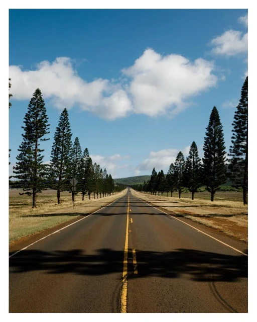 Road lined with trees leading to the horizon under a blue sky with clouds. The perspective creates depth and a sense of journey.