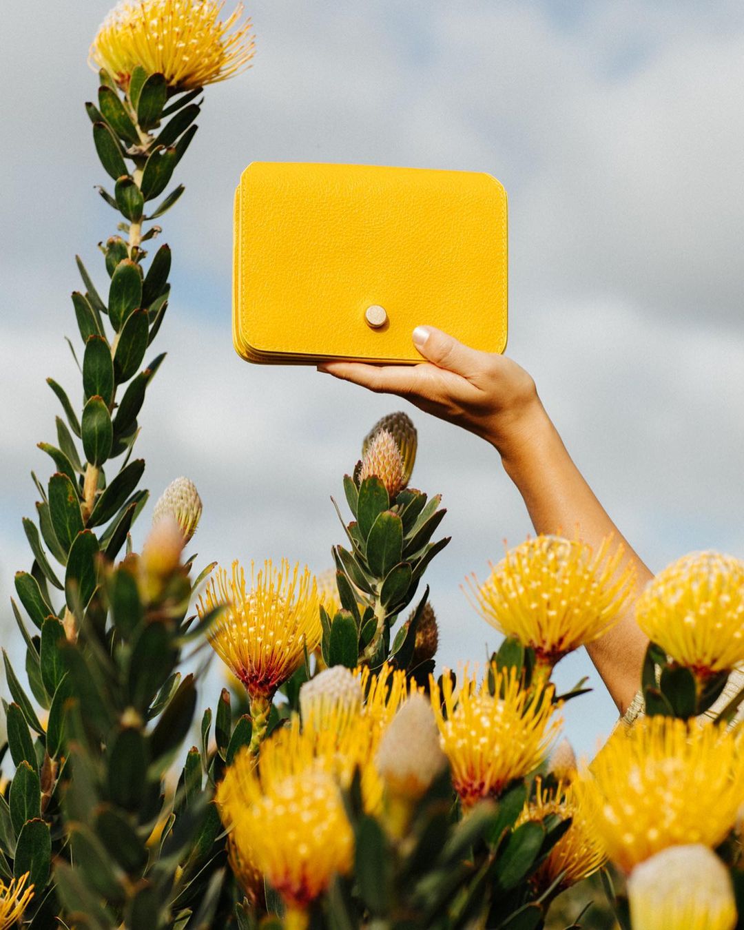 Woman's hand presents a small yellow clutch, surrounded by blooming yellow pincushion protea flowers against a cloudy sky backdrop.