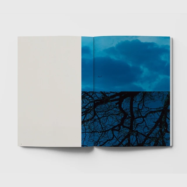 Open book spread shows a blue-toned photograph of tree branches against a cloudy sky; the opposite page is blank, off-white.