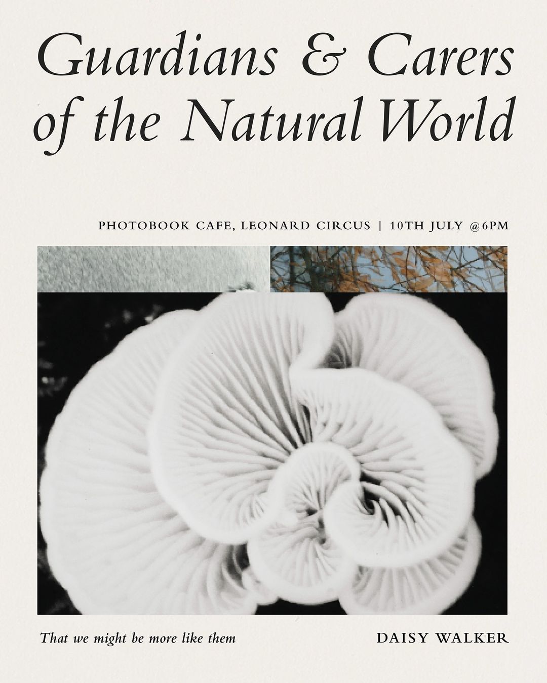Black and white photo of fungus with visible gills, surrounded by text about a nature event at Photobook Cafe by Daisy Walker.