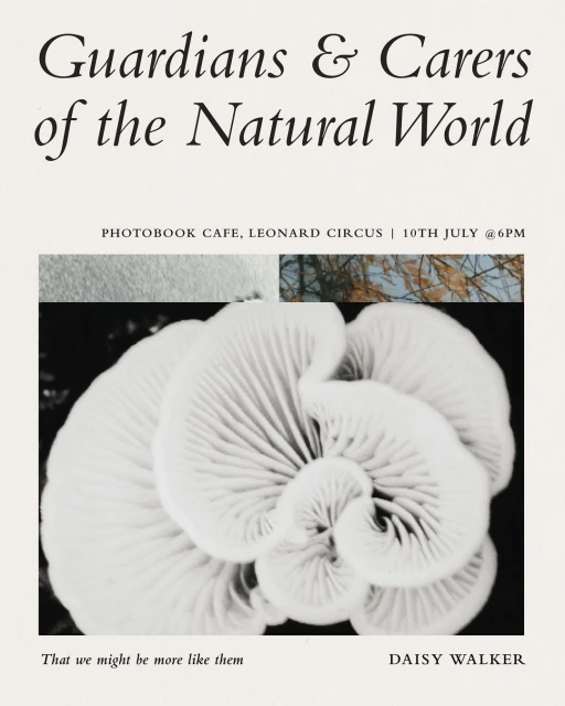 Black and white photo of fungus with visible gills, surrounded by text about a nature event at Photobook Cafe by Daisy Walker.