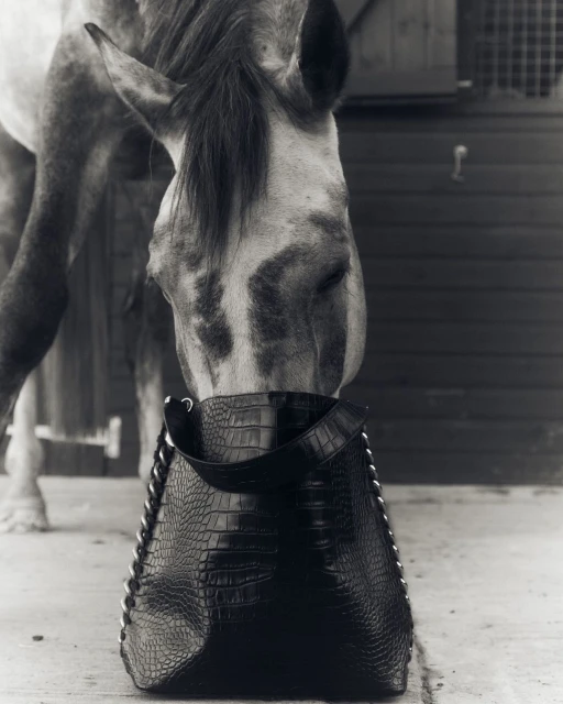 Black and white image of a horse nuzzling a black faux crocodile skin leather tote bag against a stable door backdrop.