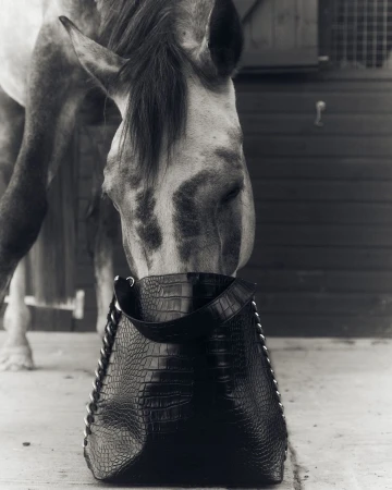 Black and white image of a horse nuzzling a black faux crocodile skin leather tote bag against a stable door backdrop.