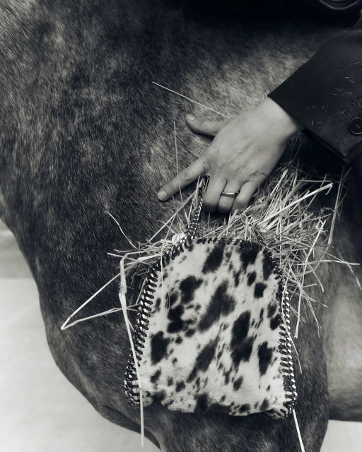 Black and white image of a horse, adorned with a cow-print decorated item and straw, being touched by a human hand in a suit.