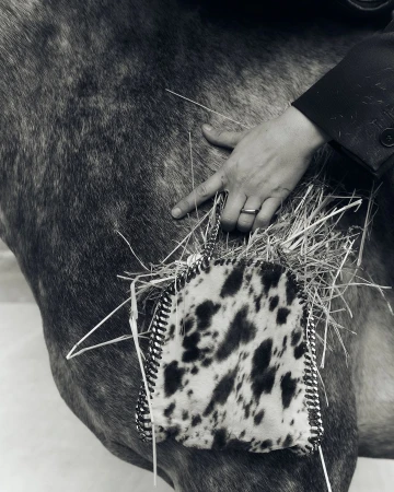 Black and white image of a horse, adorned with a cow-print decorated item and straw, being touched by a human hand in a suit.
