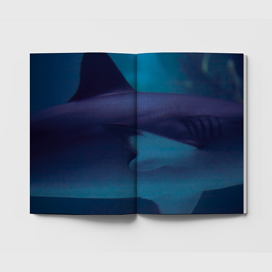 Open book featuring a close-up image of a shark's body with visible gills and fin under blue water, showcased in a studio setting.