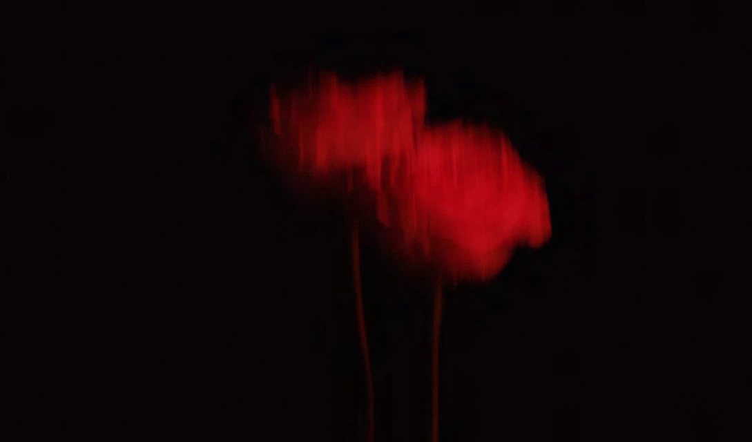 Abstract, blurred close-up of two red poppy-like flowers against a black background, creating a moody and artistic floral composition.