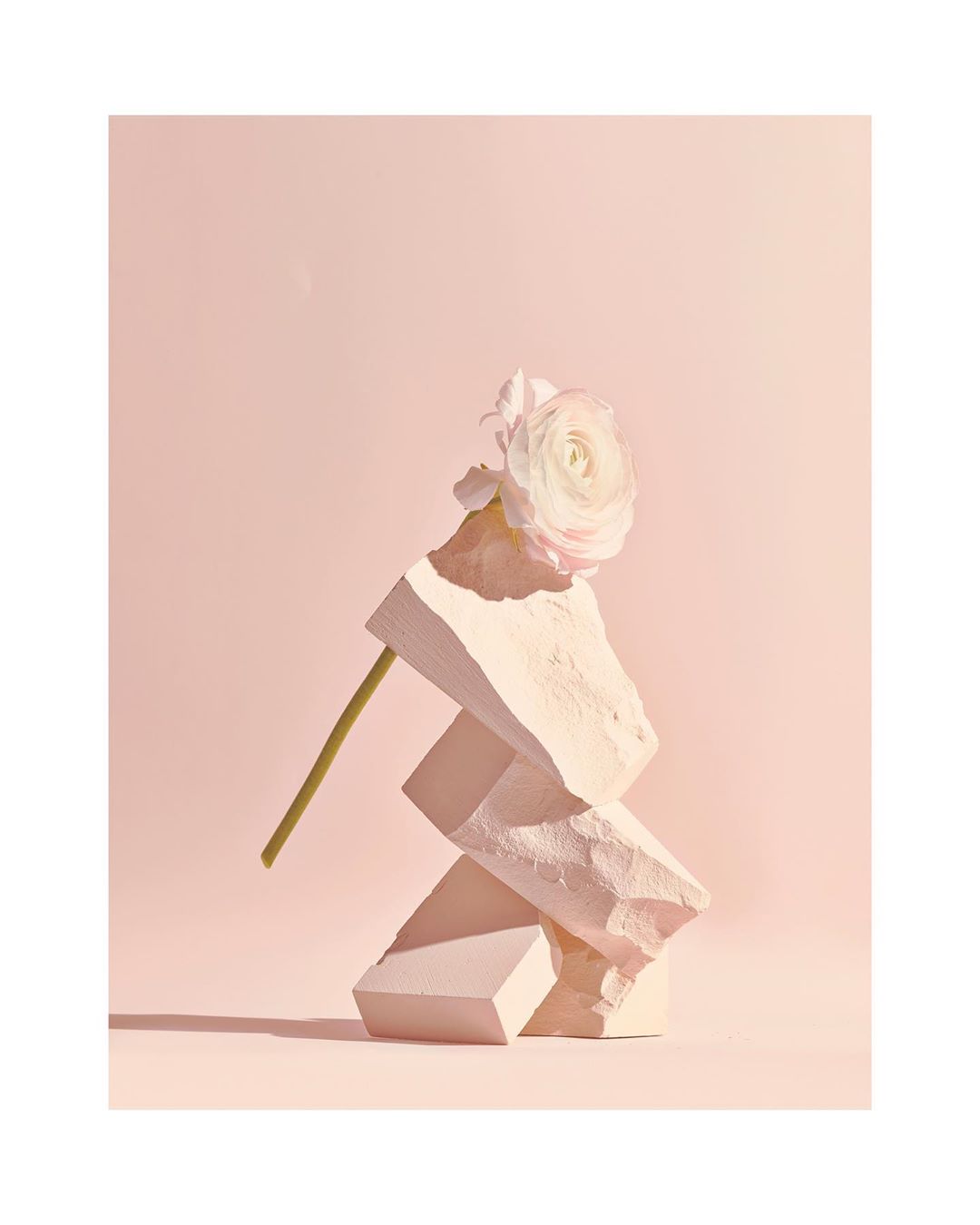 Still life studio photograph of a white flower on a stem balanced on top of geometric stone blocks against a pale pink background.