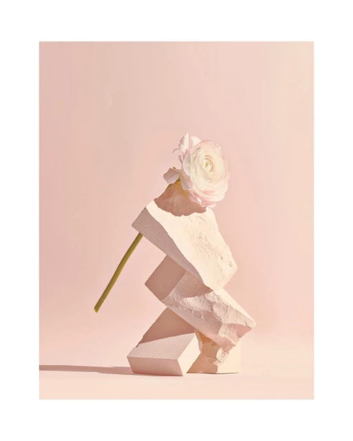 Still life studio photograph of a white flower on a stem balanced on top of geometric stone blocks against a pale pink background.