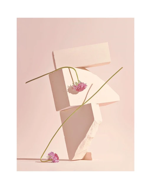 Still life studio photograph featuring a balanced stack of geometric shapes with pink scabiosa flowers against a pale pink backdrop.