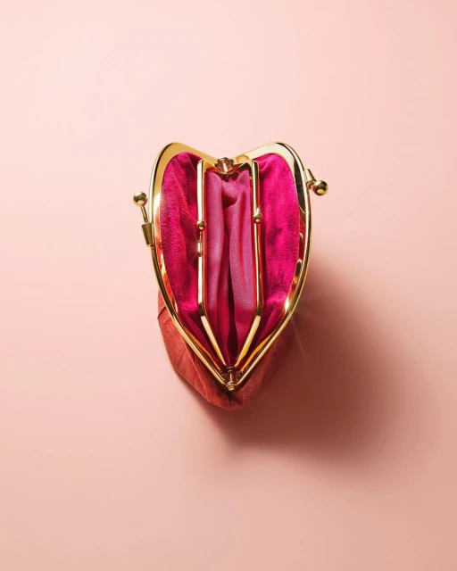 Studio shot of an open coin purse, featuring pink satin lining and a gold metal clasp, set against a pastel pink background.