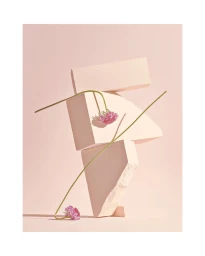Pink flowers draped across stacked geometric blocks in a soft pink minimalist still life studio photograph.