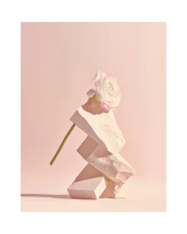 A pale pink ranunculus flower balanced precariously atop a precarious stack of rough stone blocks against a pastel pink backdrop.