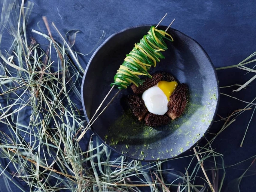 Overhead shot of a black plate with spiralized squash on skewers, morel mushrooms, and a poached egg with hay in the background.