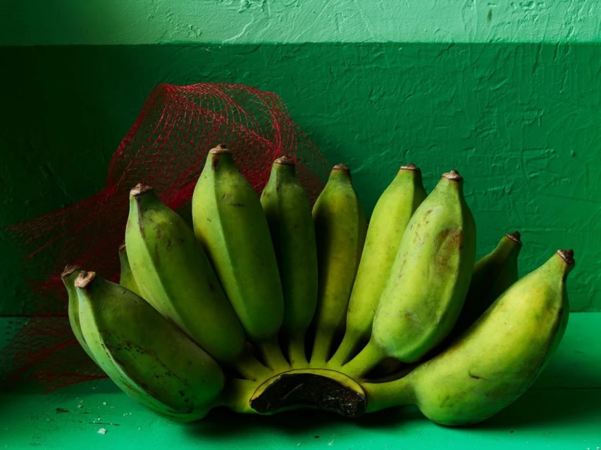 A bunch of green bananas are arranged on a surface with a painted green wall behind it, in a still life composition. 