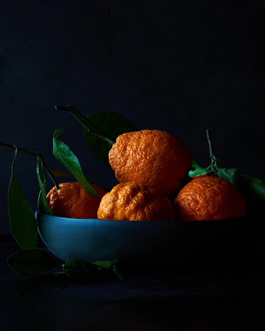 Moody still life of Sumo Mandarin oranges with leaves in dark blue bowl against a dark background, creating a dramatic food photography composition.