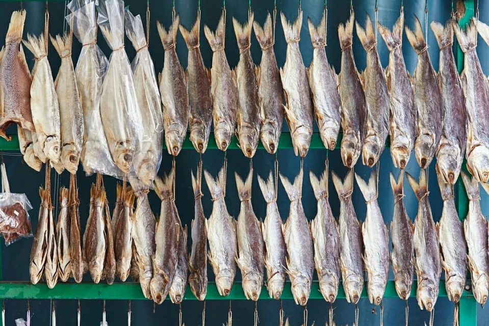 Rows of dried fish hanging for sale in an indoor market, featuring various sizes and types of fish with a green metal rack.