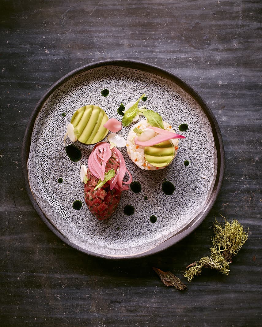 Overhead shot of decorative appetizer featuring raw meat, avocado, and pickled onions on a speckled ceramic plate, set on dark wood.