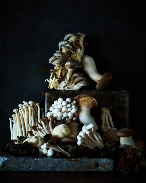An arrangement of oyster, enoki, king trumpet, and other varieties of mushrooms sit on a rough dark metal surface.