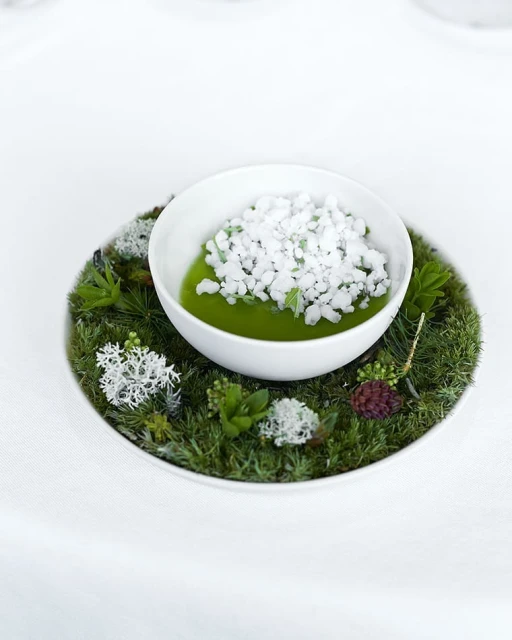 Overhead shot of a white bowl filled with green puree topped with white crumbles, sitting on a bed of moss with decorative plants.