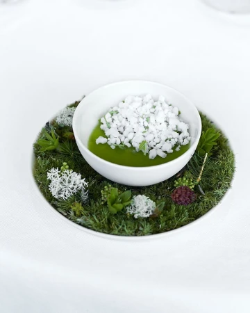 Overhead shot of a white bowl filled with green puree topped with white crumbles, sitting on a bed of moss with decorative plants.