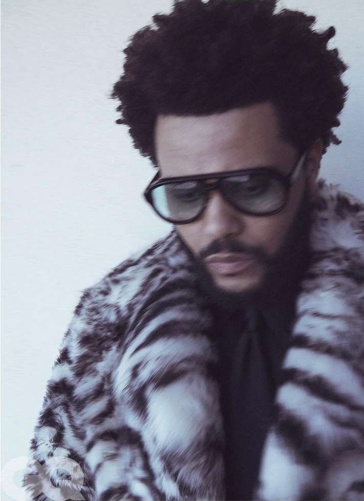 Portrait of male adult wearing tinted aviator sunglasses and a fur-print coat in a photo studio setting. Black afro hairstyle is visible.