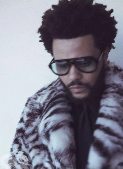 Portrait of male adult wearing tinted aviator sunglasses and a fur-print coat in a photo studio setting. Black afro hairstyle is visible.