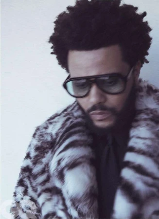Portrait of male adult wearing tinted aviator sunglasses and a fur-print coat in a photo studio setting. Black afro hairstyle is visible.