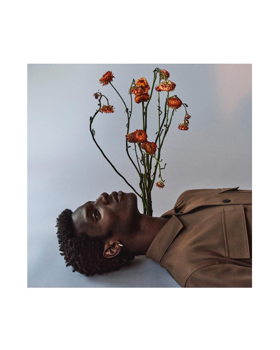 Studio shot of an African-American adult male with curly hair lying beneath an arrangement of rust-colored dried flowers against a grey backdrop.