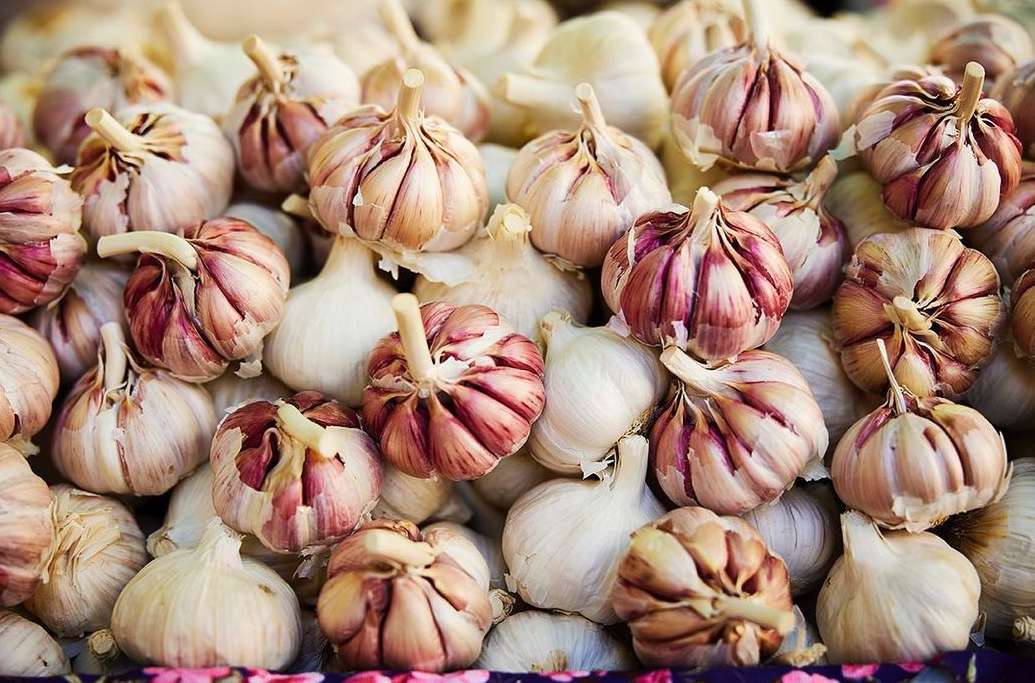 Pile of fresh garlic bulbs with white and purple hues, showcasing organic food and cooking ingredients, photographed in natural light.