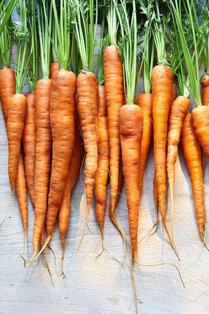 Close-up photo of fresh carrots with green leafy tops arranged neatly on a light-colored surface, showcasing their vibrant color.