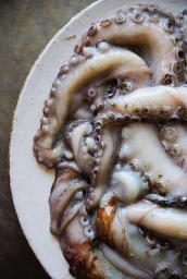 Top-down view of raw octopus tentacles with circular suction cups arranged on a white plate.