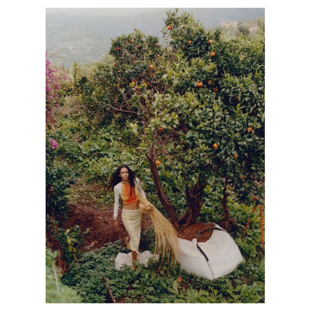 A woman stands in a verdant outdoor setting next to an orange tree filled with ripening fruit, with distant green hills in the background.